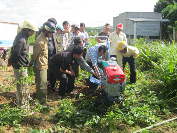 Các hộ trồng mía nhận máy cày đất từ chương trình khuyến nông.
