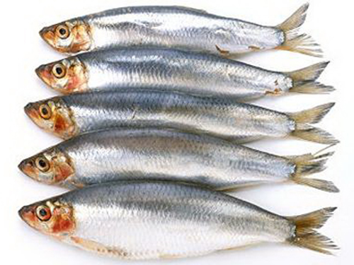 Axít béo omega-3 trong cá có nhiều lợi ích cho sức khỏeẢnh: The Telegraph