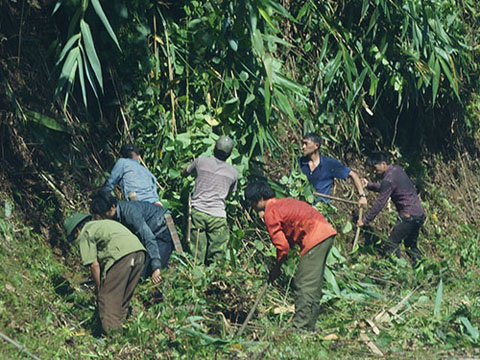 Người dân huyện Quế Phong (tỉnh Nghệ An) chăm sóc diện tích rừng được giao Ảnh: ĐỨC NGỌC