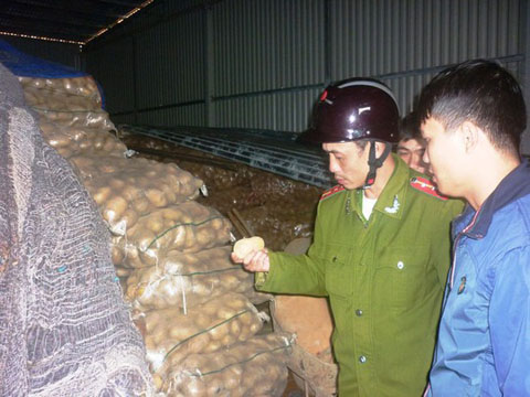 Lực lượng chức năng thu giữ khoai tây Trung Quốc có dư lượng thuốc bảo vệ thực vật vượt ngưỡng cho phép tại chợ nông sản Đà Lạt
