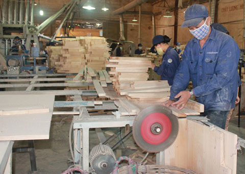 Chế biến gỗ  tại Công ty Cổ phần Chế biến gỗ cao su Dak Lak.