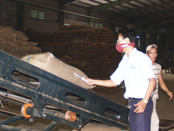Kiểm tra về chất lượng cà phê trước khi xuất khẩu tại Công ty TNHH MTV Xuất nhập khẩu 2-9 Dak Lak.
