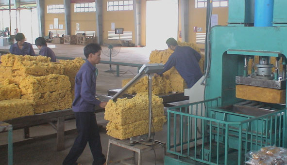 Nhà máy chế biến mủ cao su của Công ty Cao su Krông Buk.