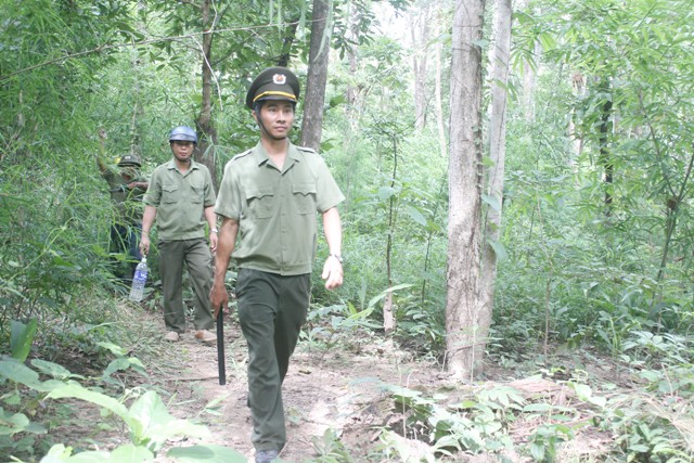 Đội tuần tra rừng thuộc Trạm cơ động số I, Công ty TNHH MTV Lâm nghiệp Buôn Ja Wầm đang tuần tra tại tiểu khu 544.