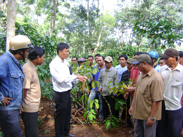 Cán bộ khuyến nông hướng dẫn kỹ thuật trồng trọt cho các hộ dân tộc thiểu số xã Cuôr Đăng (huyện Cư M'gar). 