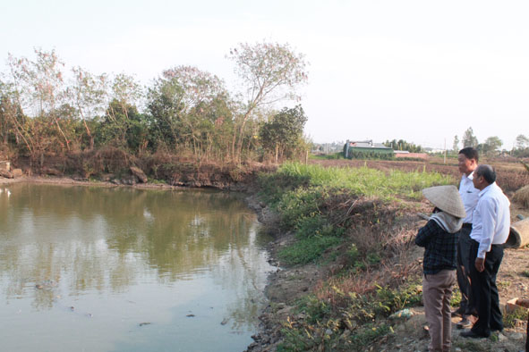 Khu quy hoạch chăn nuôi tập trung ở xã Cư Ni (huyện Ea Kar) chưa được lấp đầy do các trang trại chăn nuôi chưa di dời vào. 