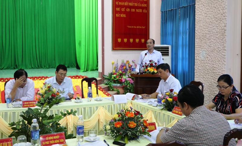 Chủ tịch UBND tỉnh Phạm Ngọc Nghị phát biểu chỉ đạo buổi làm việc