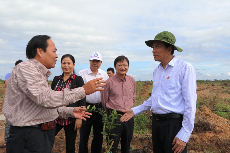 Đoàn công tác đi thực tế tại dự án nông lâm nghiệp của Doanh nghiệp tư nhân Phan Thuấn