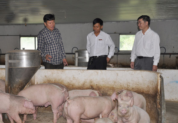 Cán bộ  Ngân hàng  NN-PTNT  thẩm định  một dự án  cho vay phát triển  kinh tế  trang trại tại huyện  Cư Kuin.