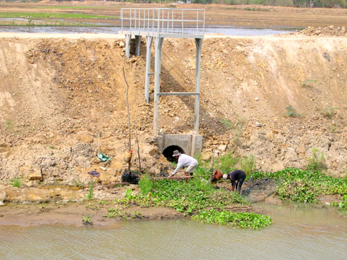 Nông dân lấy nước ngọt để sản xuất lúa ở tỉnh Sóc TrăngẢnh: Ngọc Trinh