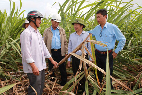 Chủ tịch UBND huyện Ea Kar Nguyễn Văn Hà (thứ 2 bên phải sang) cùng lãnh đạo Công ty Cổ phần  Mía đường 333 kiểm tra tình hình thiệt hại của cây mía tại xã Ea Sô.