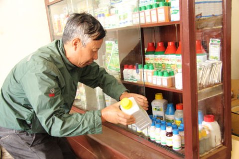 Một cửa hàng tại tỉnh Đắk Lắk đang bán nhiều loại thuốc chứa 2 hoạt chất 2.4D và Paraquat Ảnh: CAO NGUYÊN