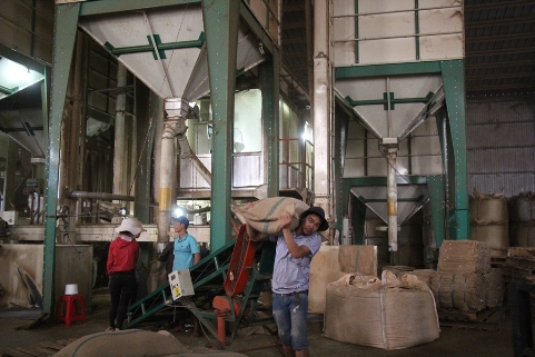 Một doanh nghiệp chế biến cà phê Trong Cụm công nghiệp Tân An 2, TP. Buôn Ma Thuột