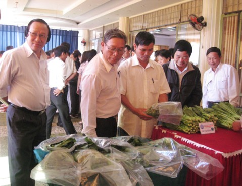 Sản phẩm của các HTX sản xuất rau an toàn trên địa bàn tỉnh được giới thiệu tại một hội thảo về thị trường tiêu thụ. 