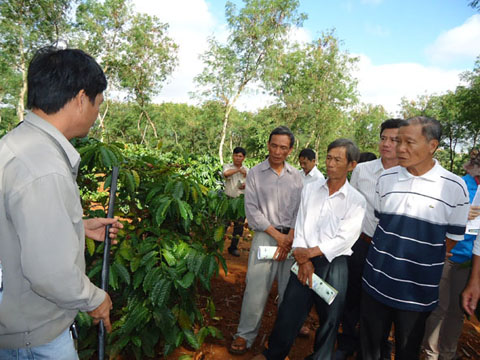 Đại diện Công ty Khang Thịnh giới thiệu về vận hành hệ thống tưới nhỏ giọt kết hợp bón phân qua nước tại cánh đồng mẫu cà phê Hòa Thuận (TP. Buôn Ma Thuột).   