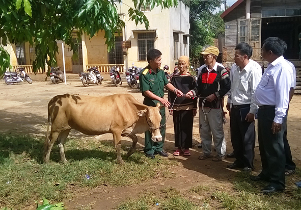Ban Chỉ huy Quân sự huyện Krông Pak trao bò giống tặng gia đình ông Y Lim Byă.