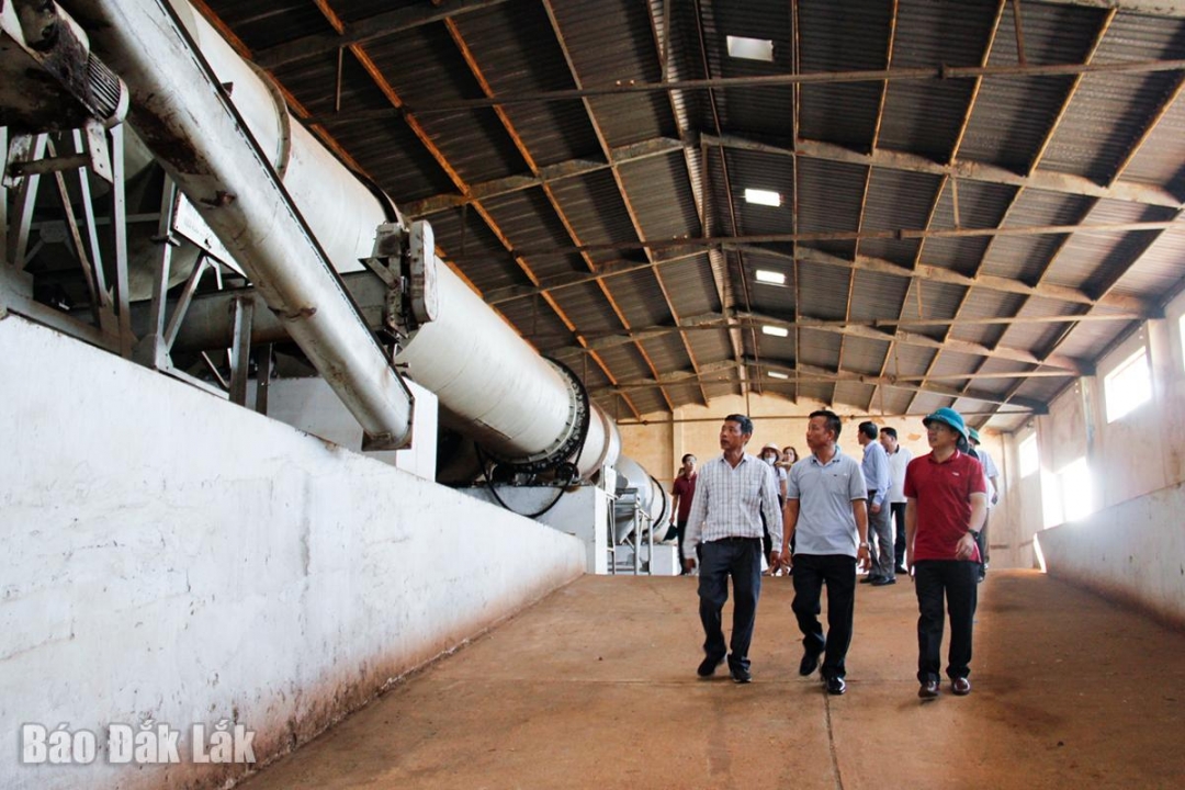 Hội trại Cà phê sẽ được tổ chức tại Di tích lịch sử - văn hóa Đồn điền …