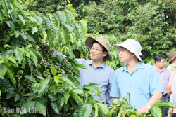 Gỡ khó cho nông sản xuất khẩu