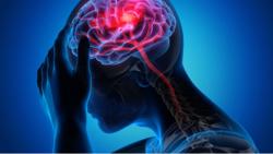 Hơn 99% các cơn đột quỵ và nhồi máu cơ tim liên quan 4 điều này