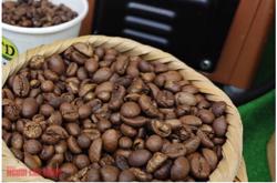 Giá cà phê hôm nay 15-10: Arabica tăng dữ dội