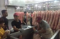 Tin tức giá heo hơi ngày 16-10: Heo "xấu" rớt giá chỉ còn 45.000 đồng/kg