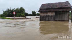 Đắk Lắk đề nghị Trung ương hỗ trợ hơn 213 tỷ đồng khắc phục hậu quả thiên tai