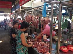 Giá heo hơi hôm nay, 17-10: Lý do khiến giá liên tục lao dốc