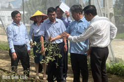 Giới thiệu quy trình ứng dụng công nghệ cao trong nông nghiệp