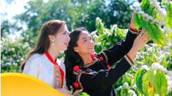 Các giải pháp phát triển văn hóa - xã hội tỉnh Đắk Lắk nhiệm kỳ 2025 - 2030