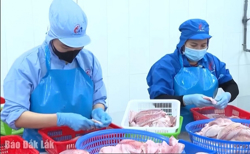 Triển vọng mới cho thủy sản nước ngọt