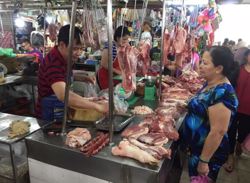 Giá heo hơi hôm nay, 21-10: Đồng loạt tăng giá sau nhiều tuần giảm