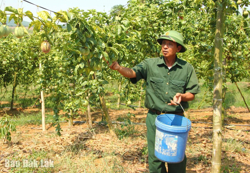 Tín dụng chính sách xã hội: Thêm nguồn lực trên hành trình giảm nghèo