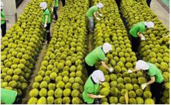 Trung Quốc ra quy định mới về nhập khẩu nông sản