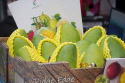 Xuất khẩu rau quả sắp vượt 8 tỷ USD