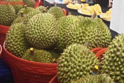Giá sầu riêng hôm nay 23-10: Thêm lý do khiến giá sầu riêng giảm mạnh