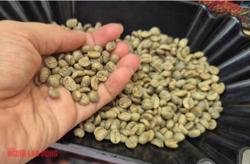 Giá cà phê hôm nay 24-10: Quá kịch tính