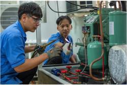 Thêm con đường học tập song song, bình đẳng