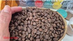 Giá cà phê hôm nay 27-10: Kỳ vọng Robusta trở lại mốc 120.000 đồng/kg