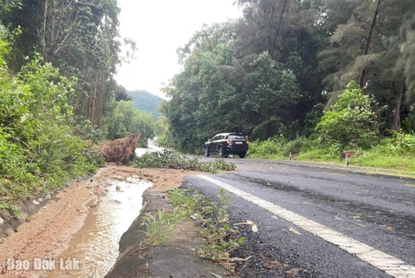 Mưa lớn tại Đắk Lắk gây thiệt hại về hạ tầng giao thông và sản xuất