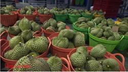 Diễn biến mới vụ hàng ngàn container sầu riêng ùn ứ