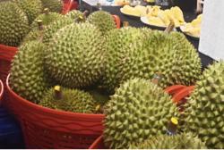 Đề nghị các phòng kiểm nghiệm Cadimi và Vàng O trong sầu riêng chạy hết công suất