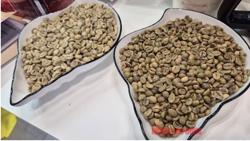 Giá cà phê hôm nay, 28-10: Giảm rất mạnh do bị bán tháo