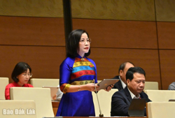 Kỳ họp thứ 10, Quốc hội khóa XV: ĐBQH tỉnh Đắk Lắk kiến nghị nhiều nội dung về hoạt động công ty nông, lâm nghiệp và đầu tư hạ tầng giao thông