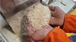 Việt Nam nhập gạo nhiều thứ 2 thế giới