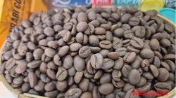Giá cà phê hôm nay 30-10: Bật tăng cao vút, khắp nơi đua nhau trồng cà phê