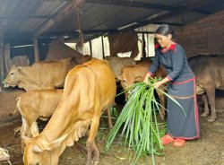 Đắk Lắk đã bàn giao 6.983 căn nhà cho hộ nghèo, hộ cận nghèo