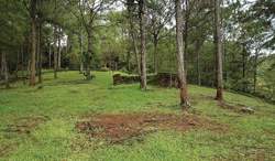 Chính sách nông nghiệp và môi trường có hiệu lực từ tháng 11/2025