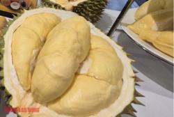 Giá sầu riêng hôm nay 6-10: Tăng mạnh trên diện rộng, cung không đủ cầu