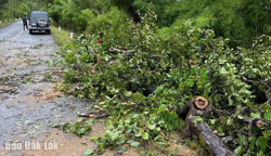 Bảo đảm an toàn giao thông trên các tuyến đường có nguy cơ sạt lở