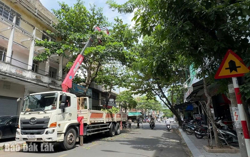 Cắt tỉa cây xanh, bảo đảm an toàn mùa mưa bão